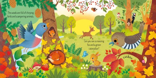 Usborne Book And 3 Jigsaws: Woodland