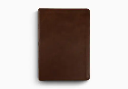 ESV Large Print Bible (TruTone, Deep Brown)