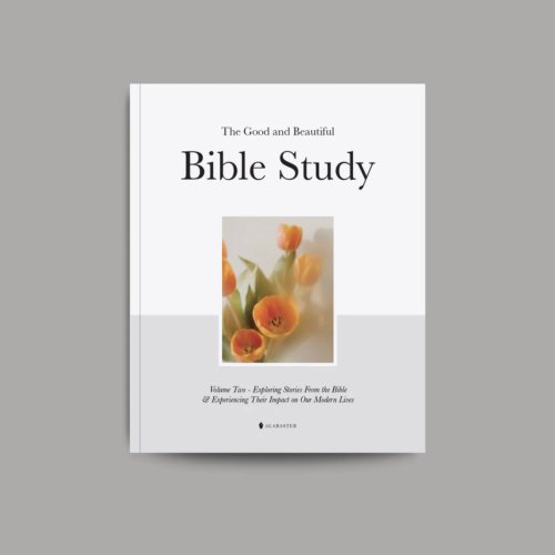 The Good and Beautiful Bible Study Volume 2