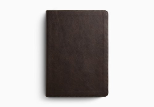 ESV Single Column Journaling Bible, Large Print (TruTone, Deep Brown)