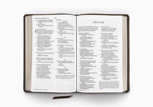 ESV Large Print Thin Reference Bible