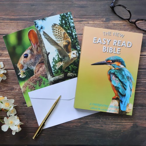 Easy Read Bible & Notecard Set