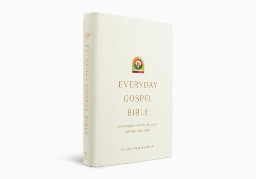 ESV Everyday Gospel Bible