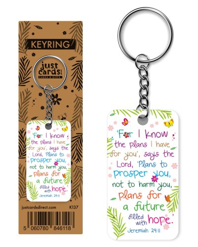 I know the plans keyring