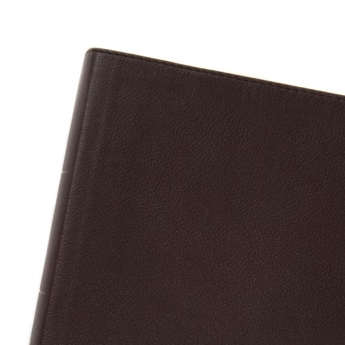 CSB Study Bible, Brown Genuine Leather, Indexed