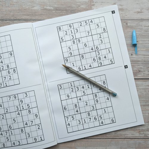 Puzzle Books - Sudoku (Geometric)