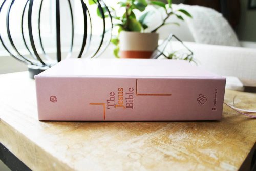 The Jesus Bible, ESV Edition, Leathersoft over Board, Pink