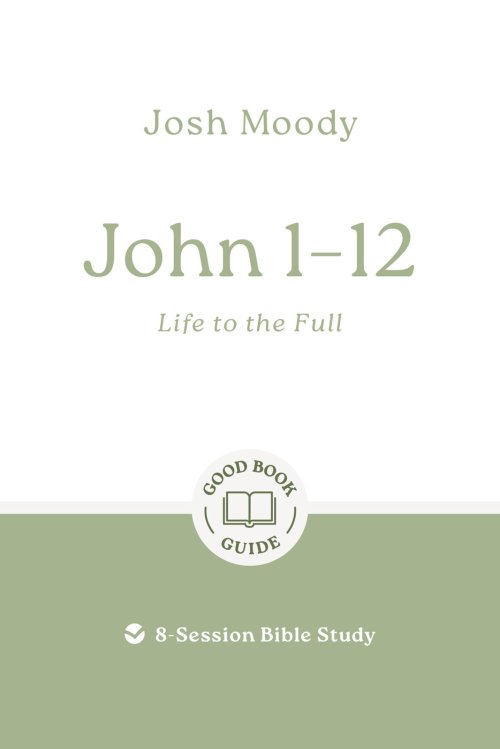 John 1–12: Life to the Full