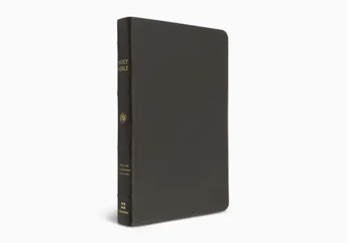 ESV Thinline Bible, Red Letter (Buffalo Leather, Deep Brown)