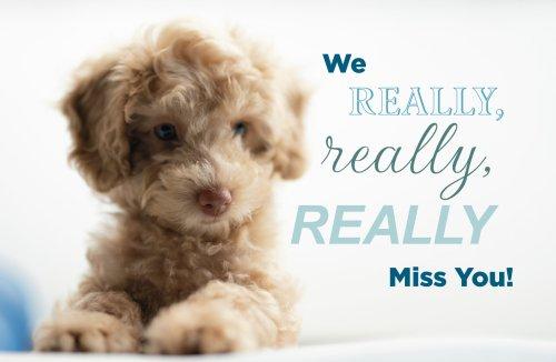 Miss You Postcard: We Really Miss You (Package of 25)