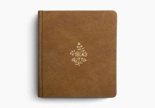 ESV Journaling Study Bible (TruTone over Board, Nubuck Caramel)