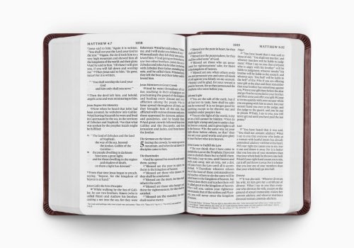 ESV Value Large Print Compact Bible (TruTone, Mahogany, Border Design)