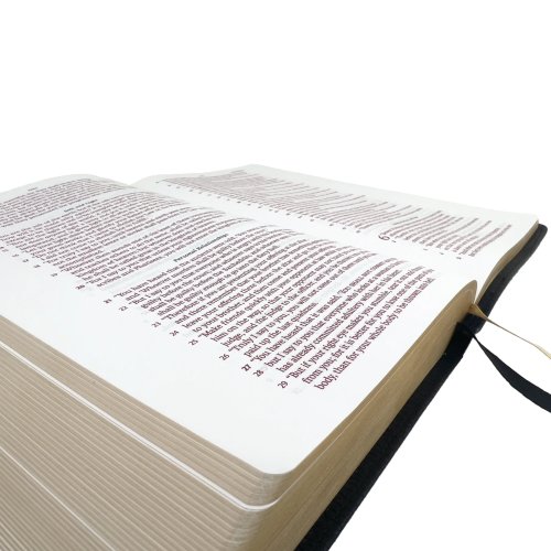 Legacy Standard Bible, Handy Size Paste-Down Black Cowhide Red Letter