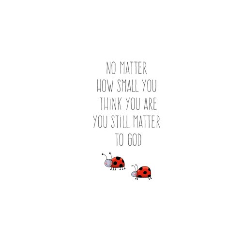 Ladybirds Encouragement Single Card