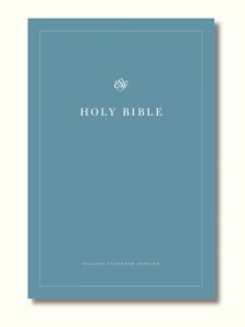 Bible Translation Bundle