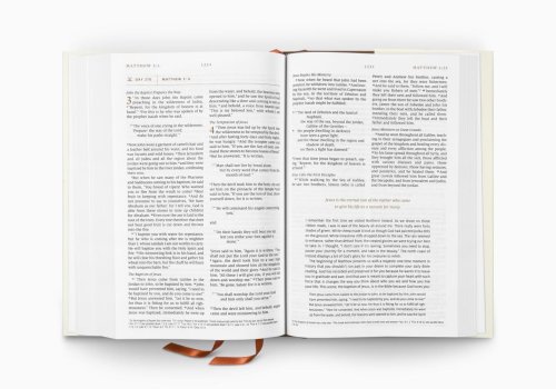 ESV Everyday Gospel Bible