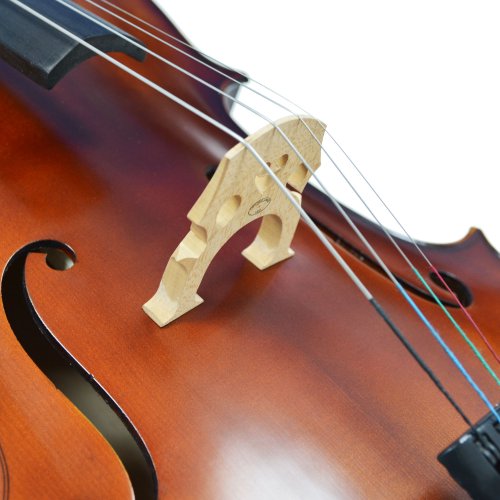 Forenza Prima 2 Cello Outfit - 3/4 Size