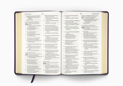 ESV Large Print Bible (TruTone, Lavender, Emblem Design)