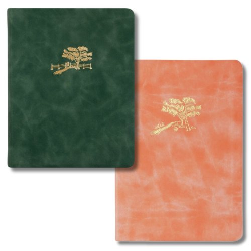 Hosanna Revival Bible and Notebook Bundle: Summerside Theme