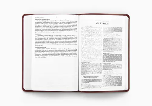 ESV Gift and Award Bible (TruTone, Burgundy)