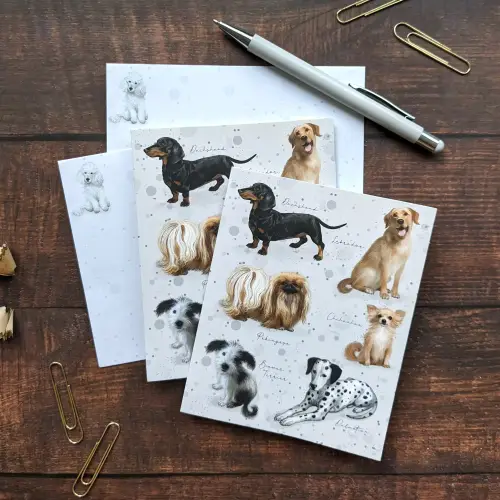 Notecard And Pen Set Boxed - Patricia Maccarthy Dogs