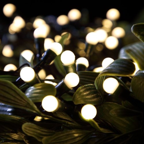 100 Fit & Forget Multifunction Berry Lights in Warm White