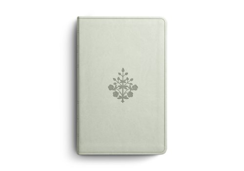 ESV Large Print Value Thinline Bible