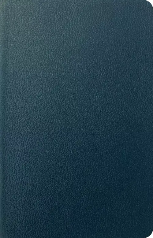 NLT Personal Size Giant Print Bible, Filament Enabled (Genuine Leather, Navy Blue, Indexed, Red Letter)