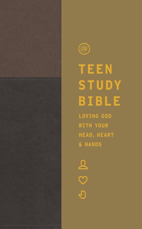 ESV Teen Study Bible (TruTone, Slate/Umber)