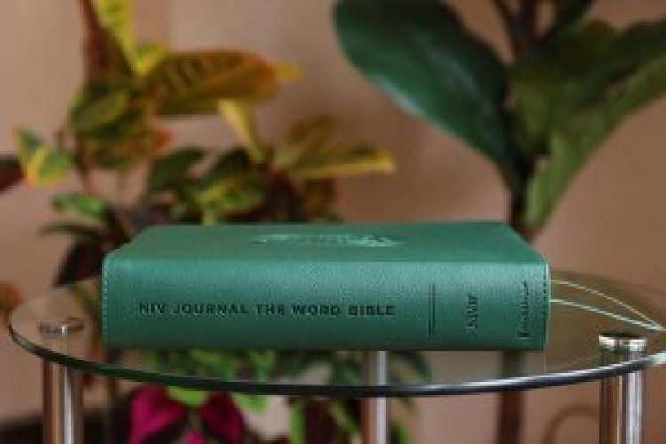 NIV, Journal the Word Bible (Perfect for Note-Taking), Leathersoft, Green, Red Letter, Comfort Print