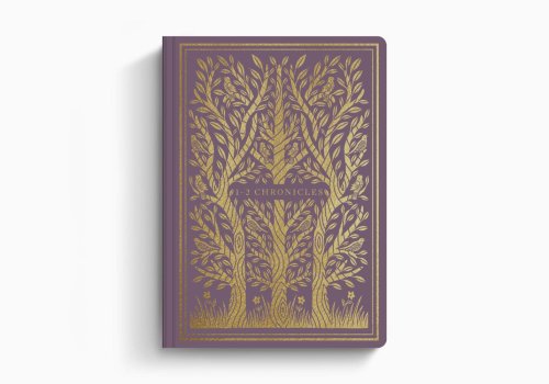 1-2 Chronicles - ESV Illuminated Scripture Journal