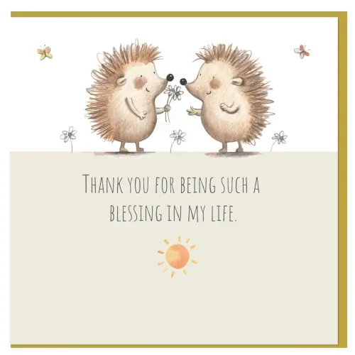 Hedgehog Blessing Single Card