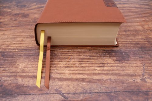 NIV, Journal the Word Bible (Perfect for Note-Taking), Large Print, Leathersoft, Brown, Red Letter, Comfort Print