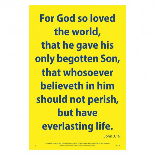 Waterproof Scripture Poster: Jn. 3.16