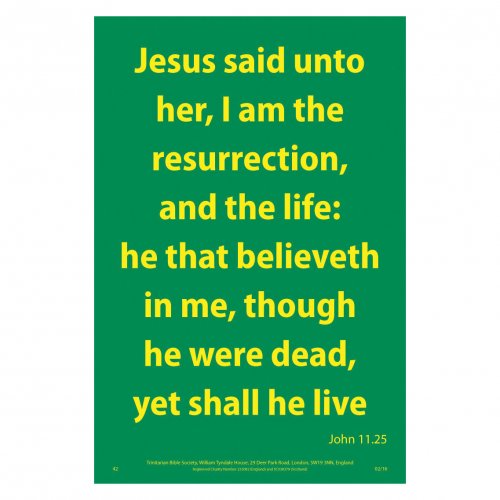 Waterproof Scripture Poster: Jn. 11.25