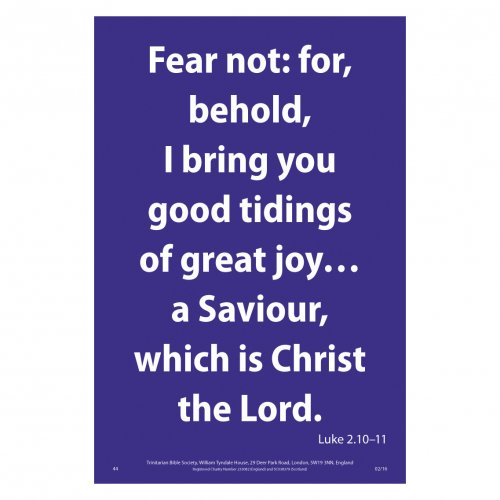 Waterproof Scripture Poster: Lu. 2.10-11