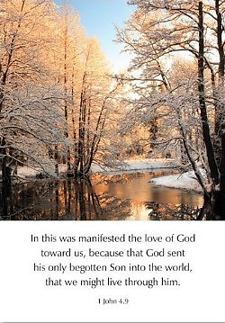 Greetings Cards: 'The love of God…' 1Jn. 4.9