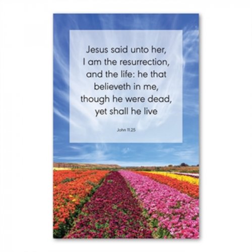 Greetings Cards: 'Jesus said unto her, I am…' Jn. 11.25