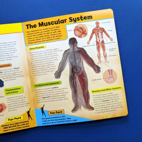 3D Discover the Human Body Book