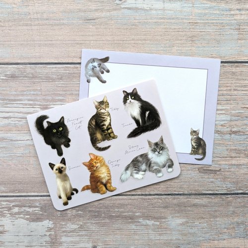 Fliplid Boxed Notecard Set - Patricia Maccarthy Cats