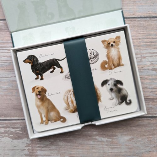 Fliplid Boxed Notecard Set - Patricia Maccarthy Dogs