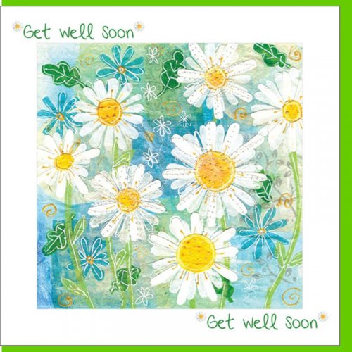 Get Well Daisy Greetings Card