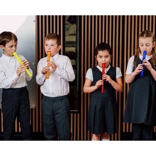 Mixed Colours Junior Descant Recorder 30 Pack