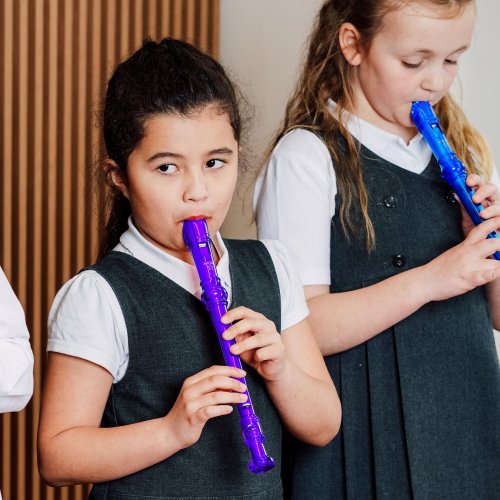 Mixed Colours Junior Descant Recorder 30 Pack