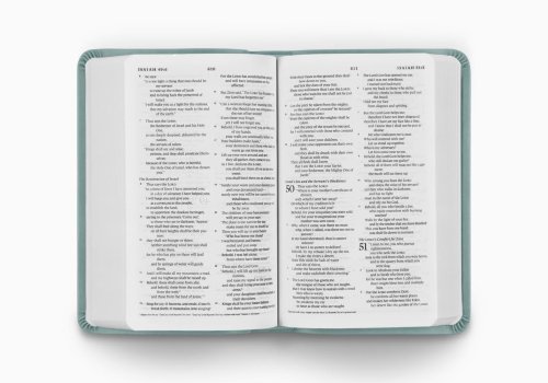 ESV Value Compact Bible (TruTone, Paris Sky, Branch Design)