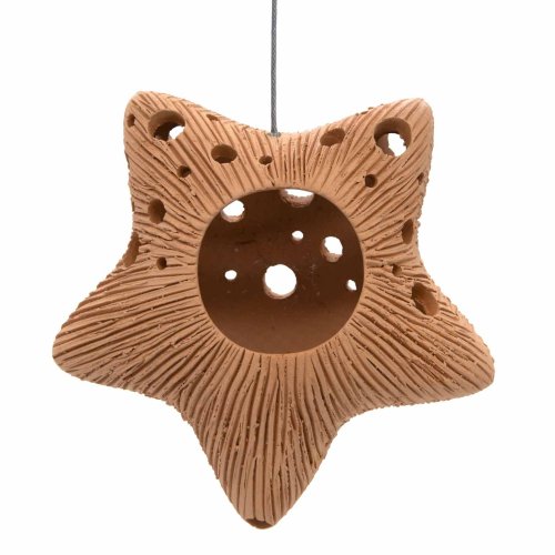 Star Ceramic Air Plant Hanger