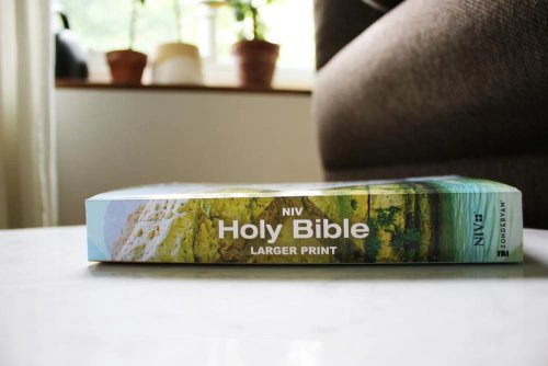 NIV, Holy Bible, Larger Print, Economy Edition, Paperback, Teal/Tan, Comfort Print