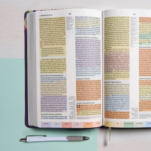 CSB Rainbow Study Bible, Purple LeatherTouch