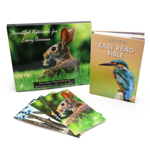 Easy Read Bible & Notecard Set