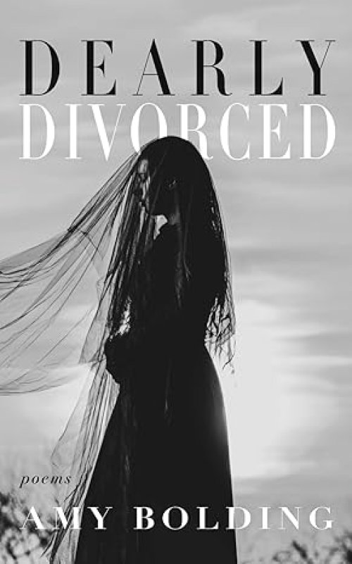 Dearly Divorced